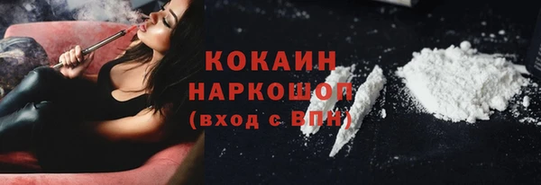 альфа пвп Гусев